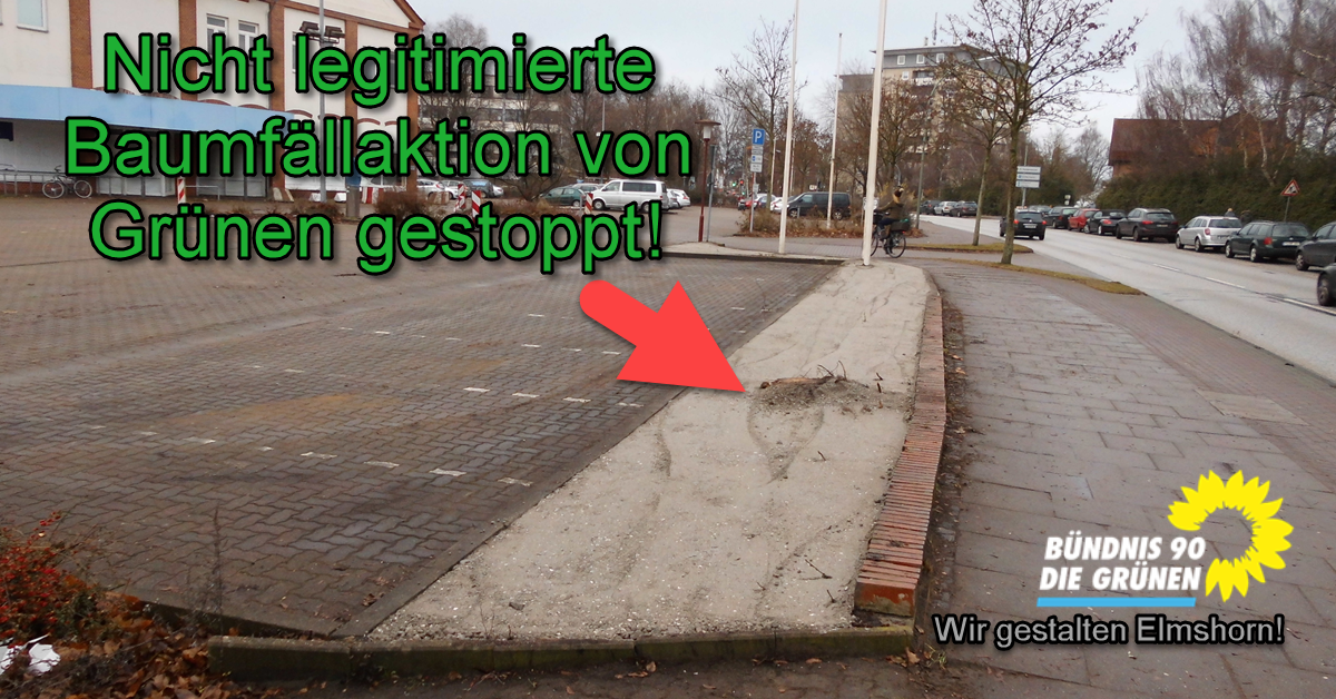Nicht legitimiere Baumfällaktion von Grünen gestoppt!