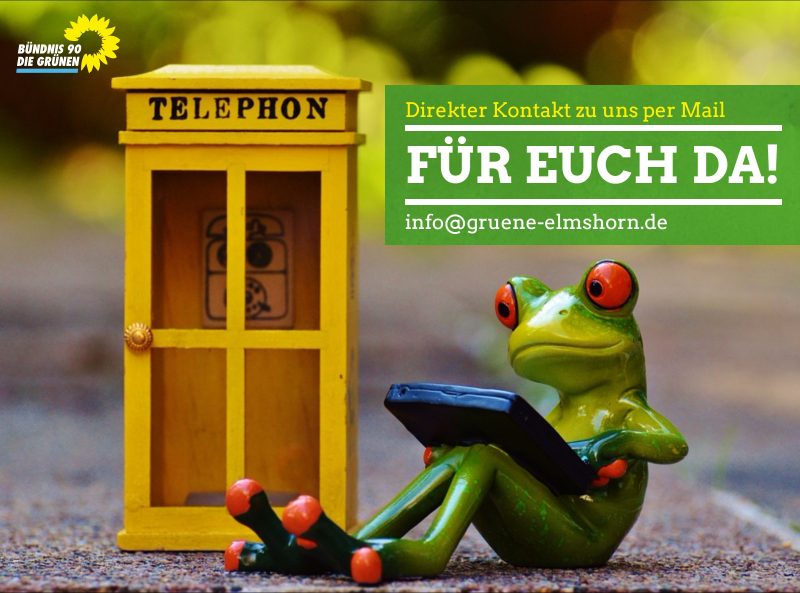info@gruene-elmshorn.de